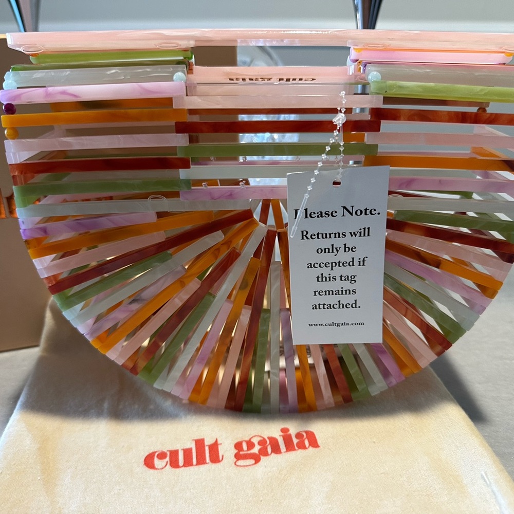 Cult Gaia Colorful Acrylic Ark Bag